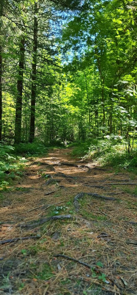 Photograph by Natasha Kim