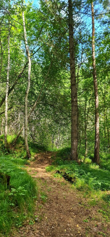 Photograph by Natasha Kim