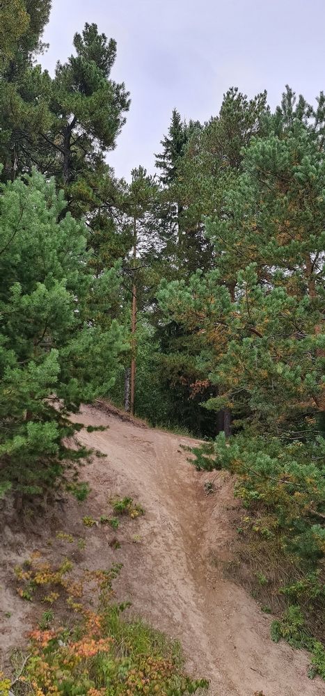 Photograph by Natasha Kim