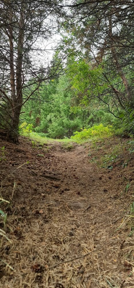 Photograph by Natasha Kim