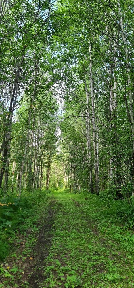 Photograph by Natasha Kim