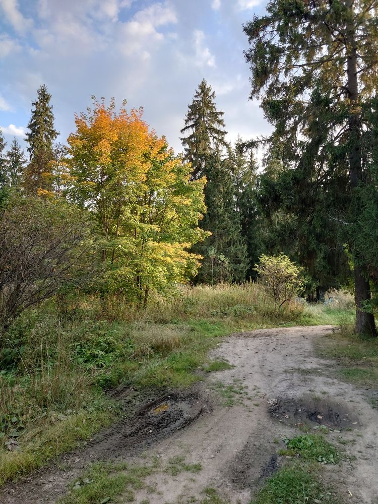 Photograph by Юрий Сычев