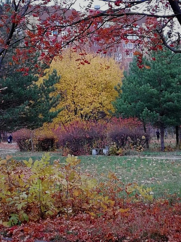 Photograph by Galina Novichkova