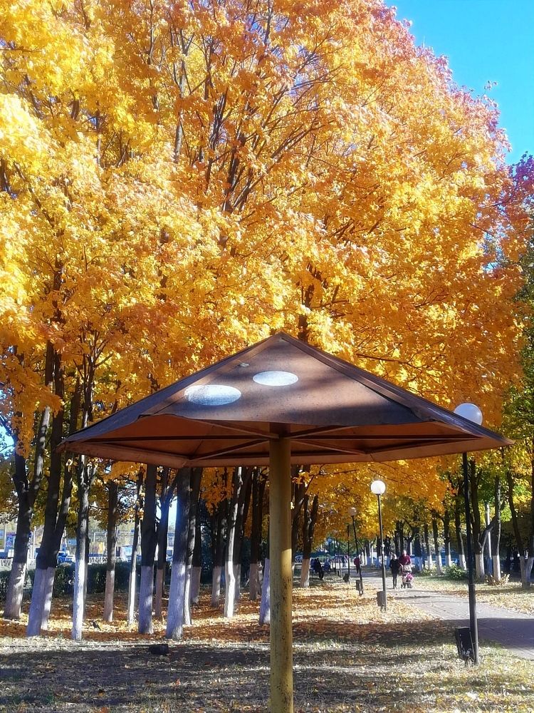 Photograph by Galina Novichkova