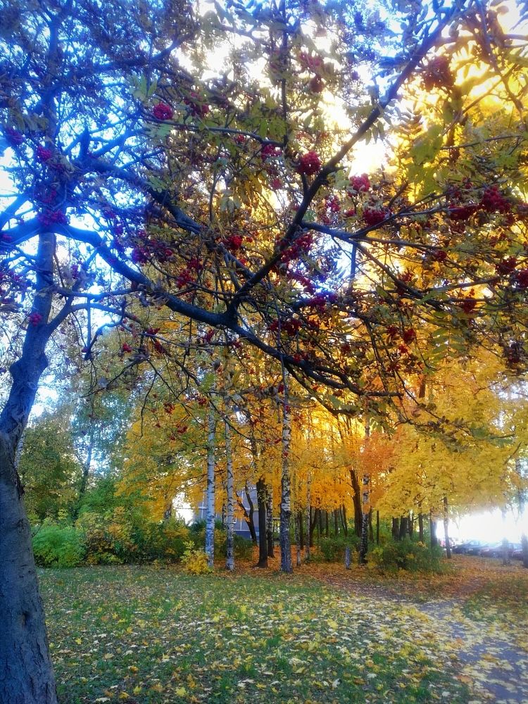 Photograph by Galina Novichkova