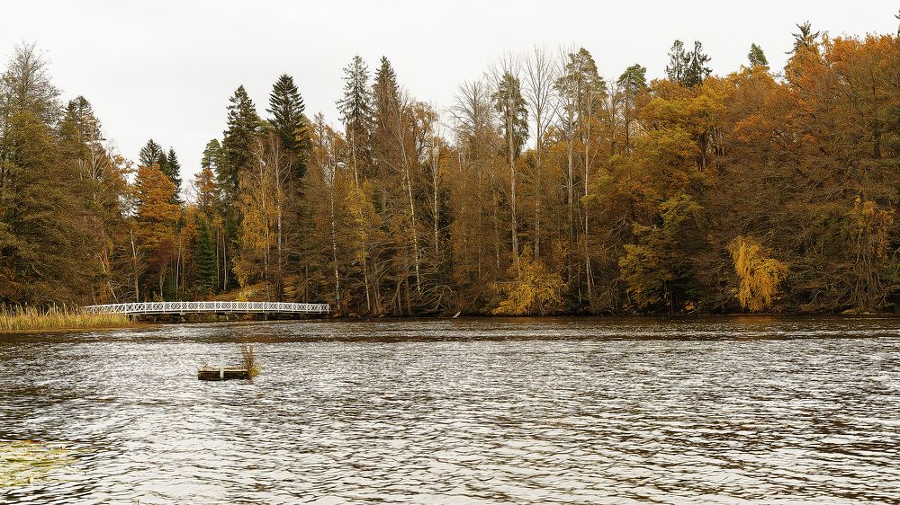 Photograph by Anna Sindikayeva