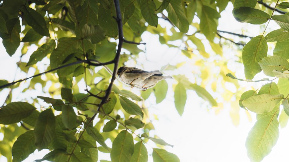 Photograph by Vadzim Darafei