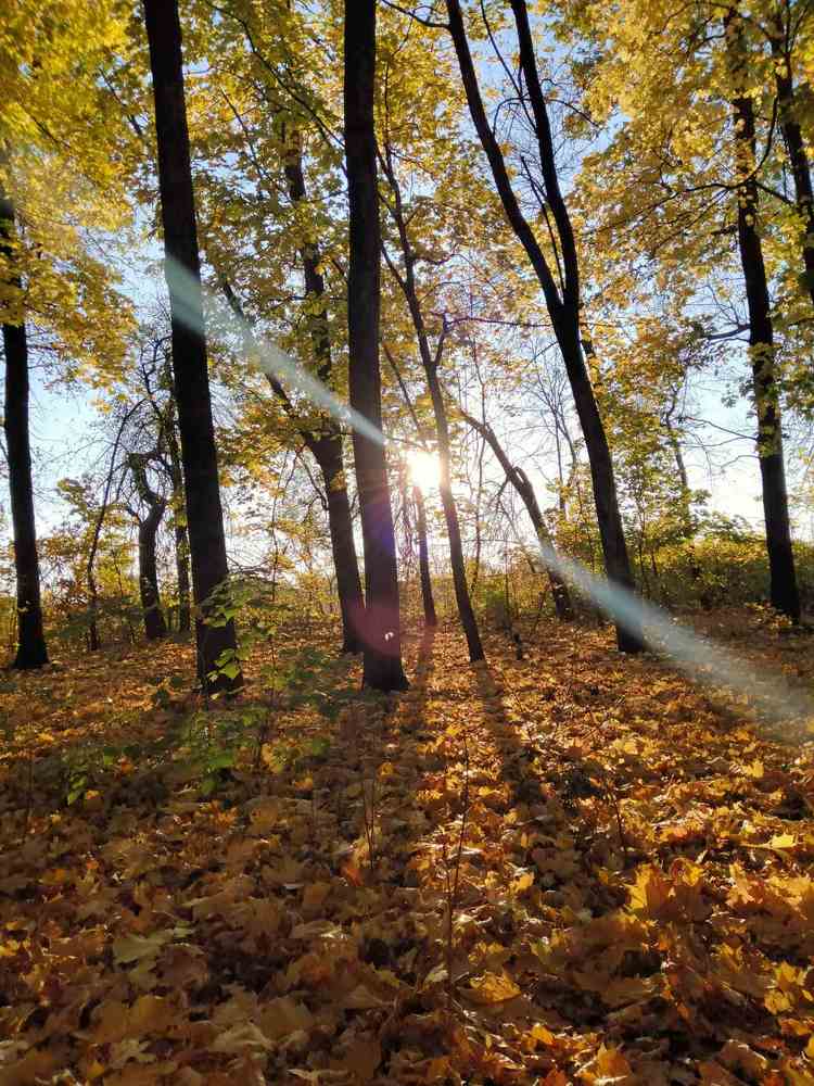 Photograph by Ирина Марченко