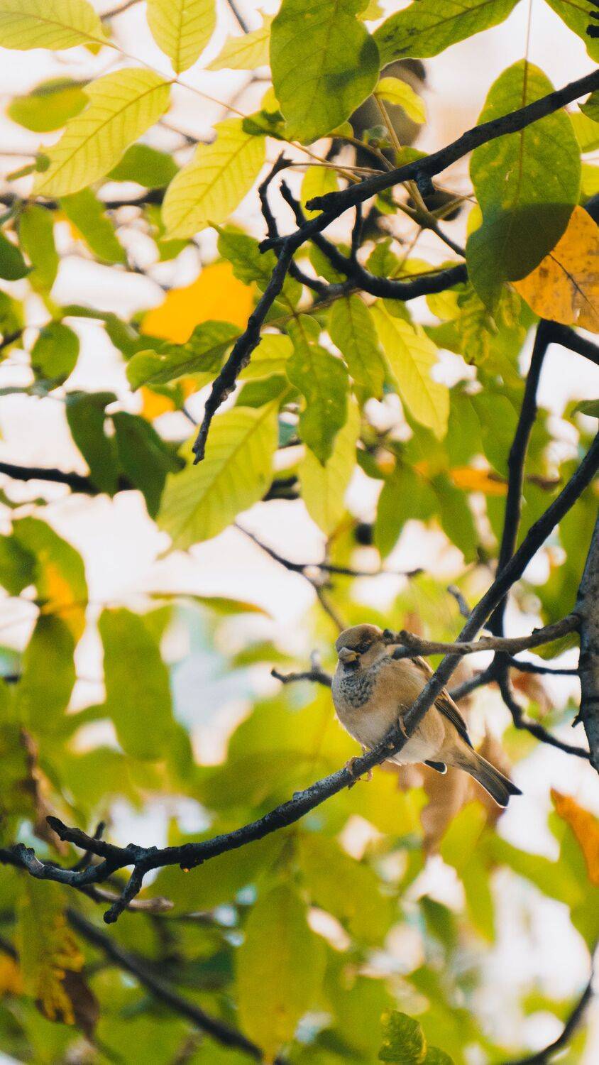 Photo #11231047