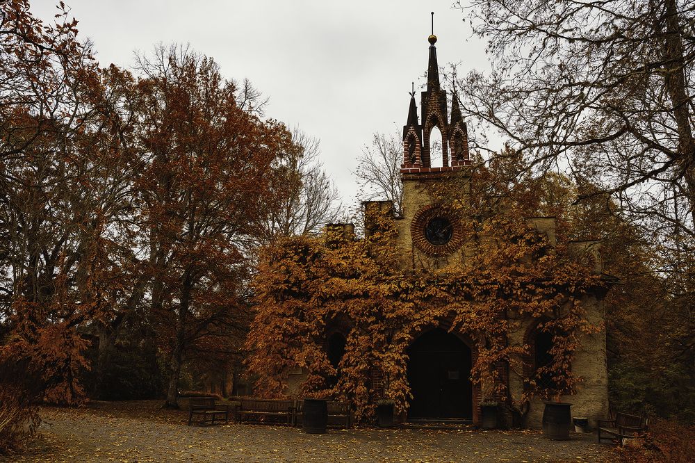 Photograph by Anna Sindikayeva