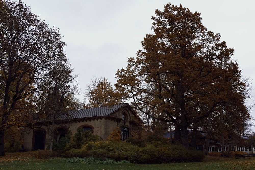 Photograph by Anna Sindikayeva