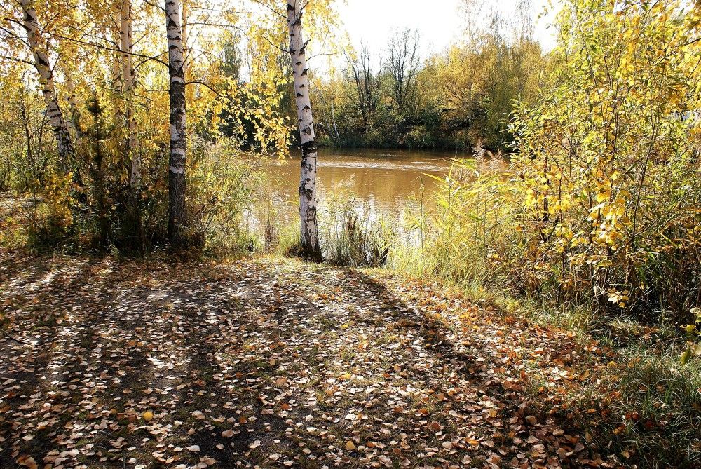 Photograph by тамара Tamara Chubuck