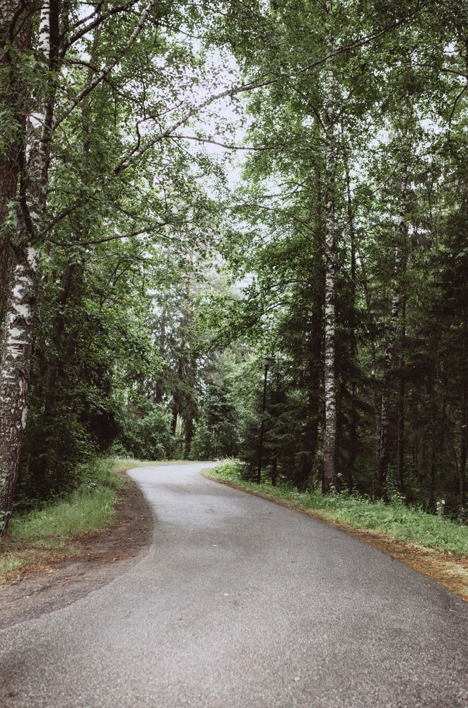 Photograph by Виктория Трач