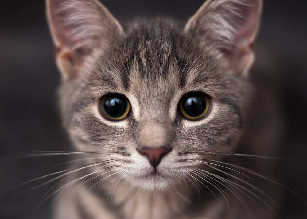 Photograph by Сергей Алексеев