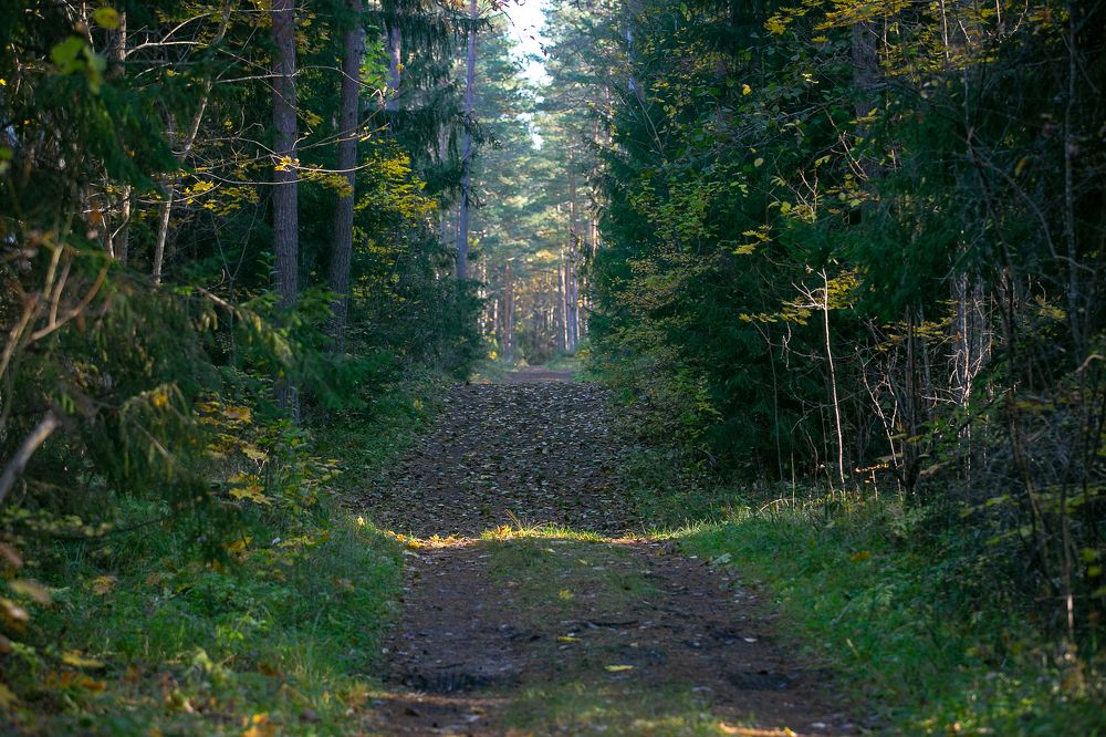 Photograph by Наталья Катюжанская