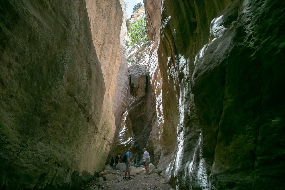 Photograph by Наталья Катюжанская