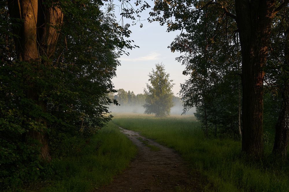 Photograph by Boris Nesh