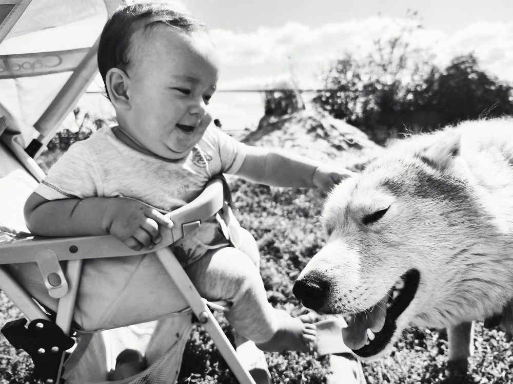 Photograph by Виктория Муськина