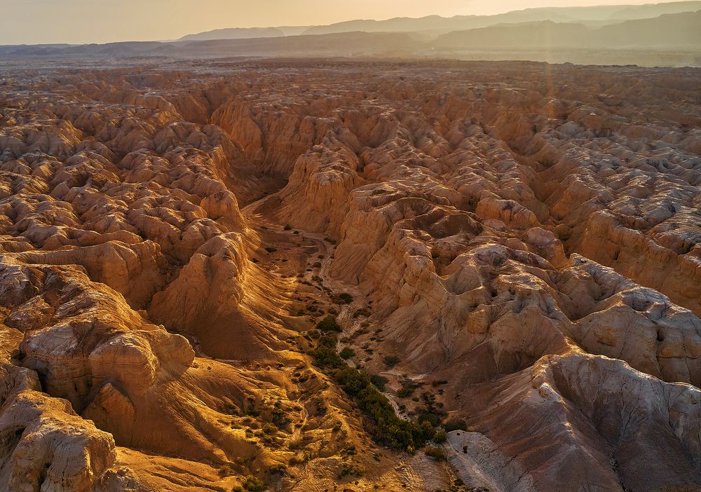 Photograph by Boris Bekelman