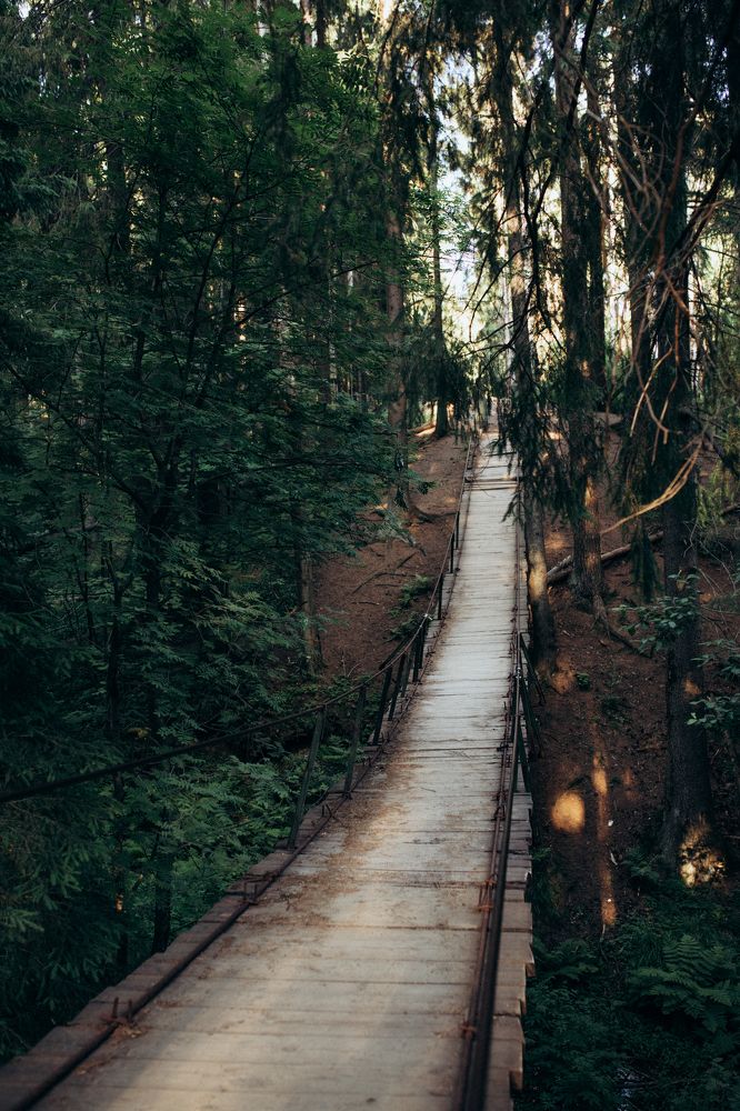 Photograph by Виктория Трач