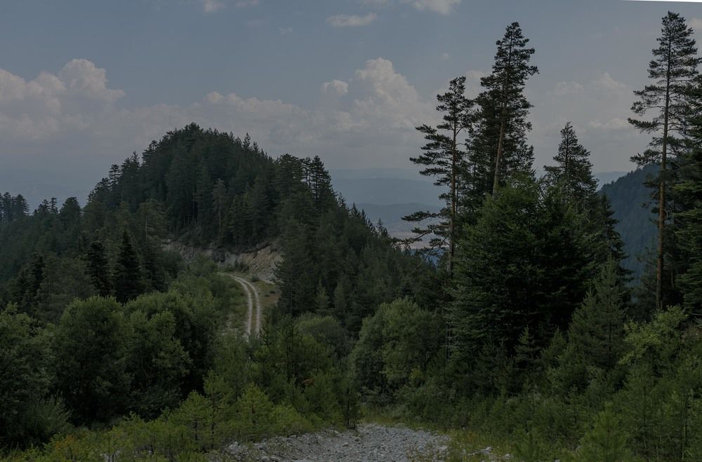 Photograph by Taтьяна Войлокова