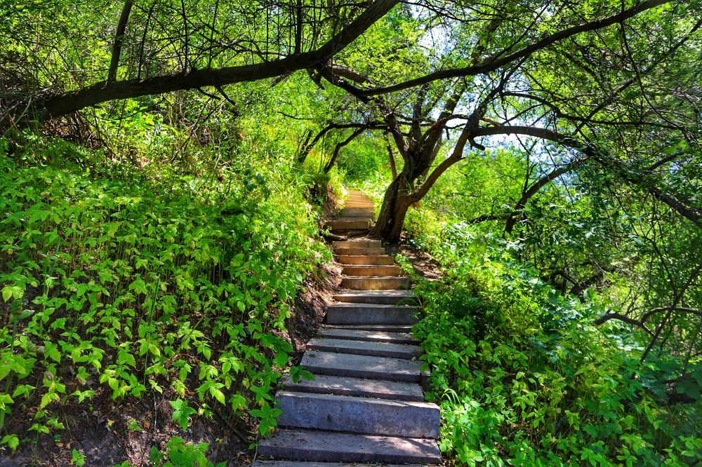 Тропа мечты