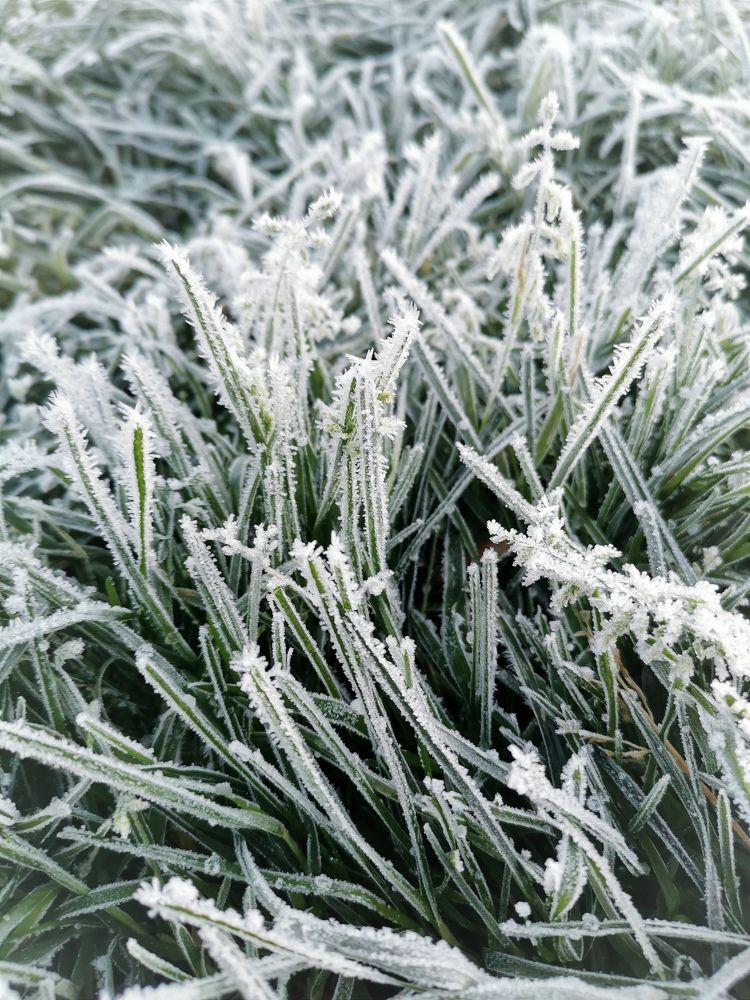 Photograph by Александра Шилова