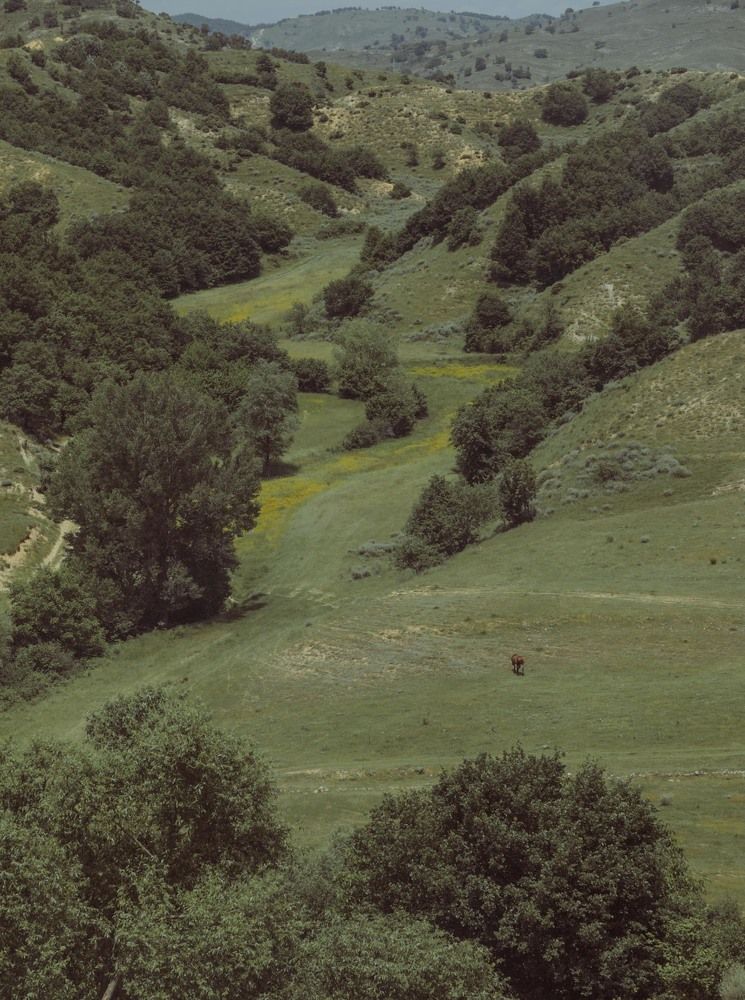 Photograph by Taтьяна Войлокова