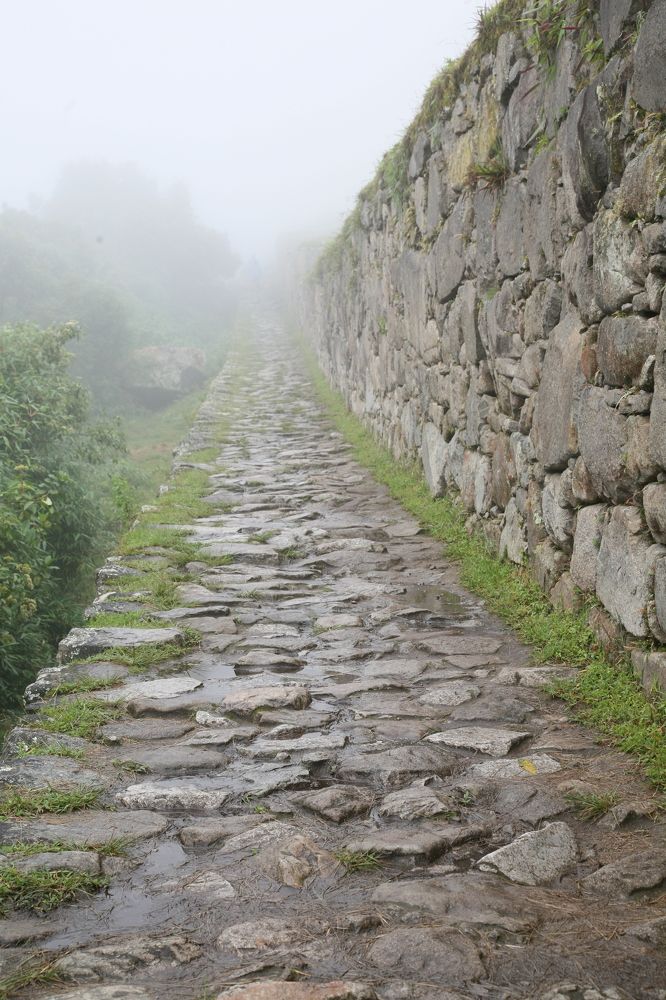 Photograph by Александр Журавлев