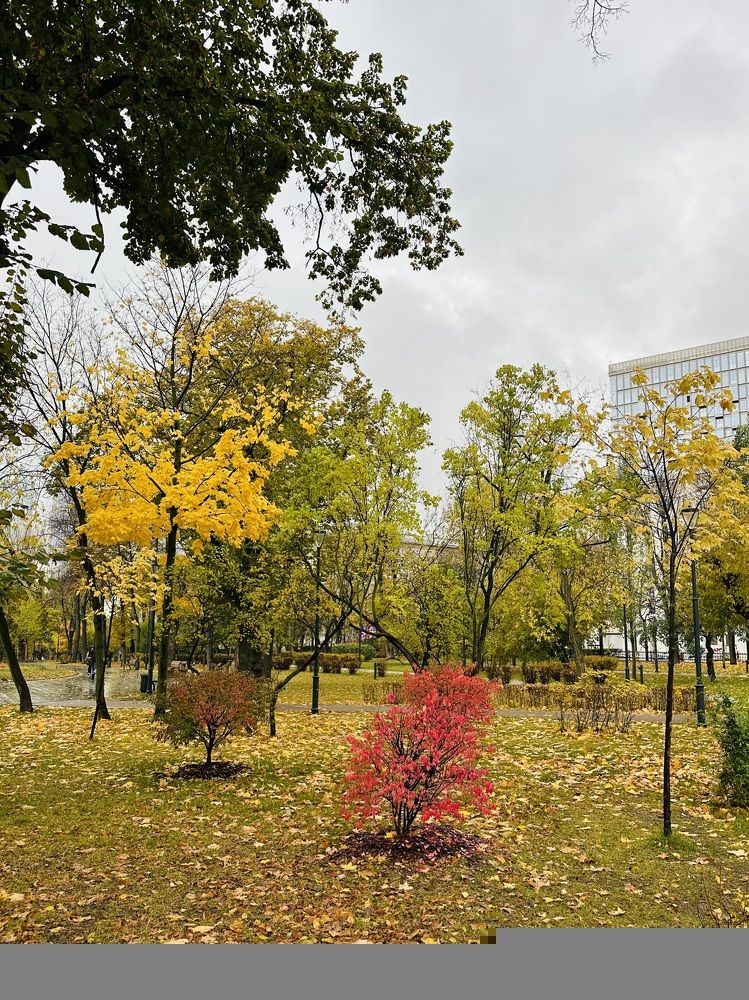 Photograph by Светлана Ионова