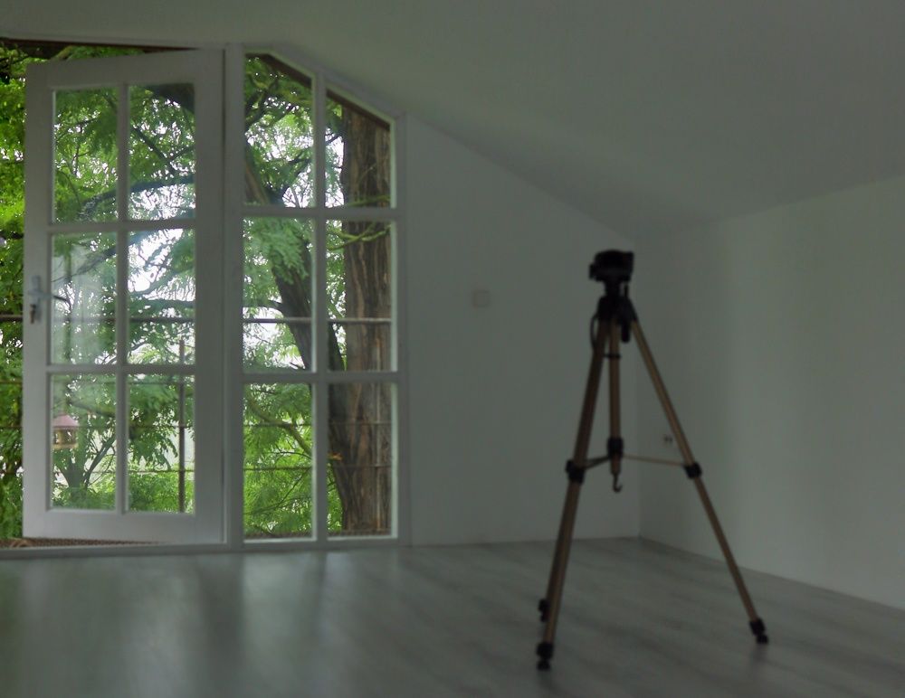 Фотография автора Мария Стратан