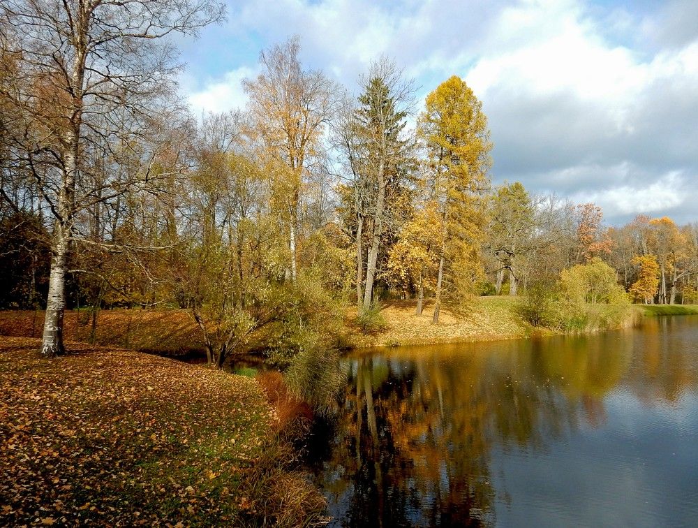 Photograph by Елена Гуляева