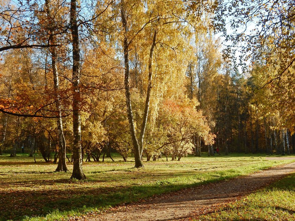 Photograph by Елена Гуляева
