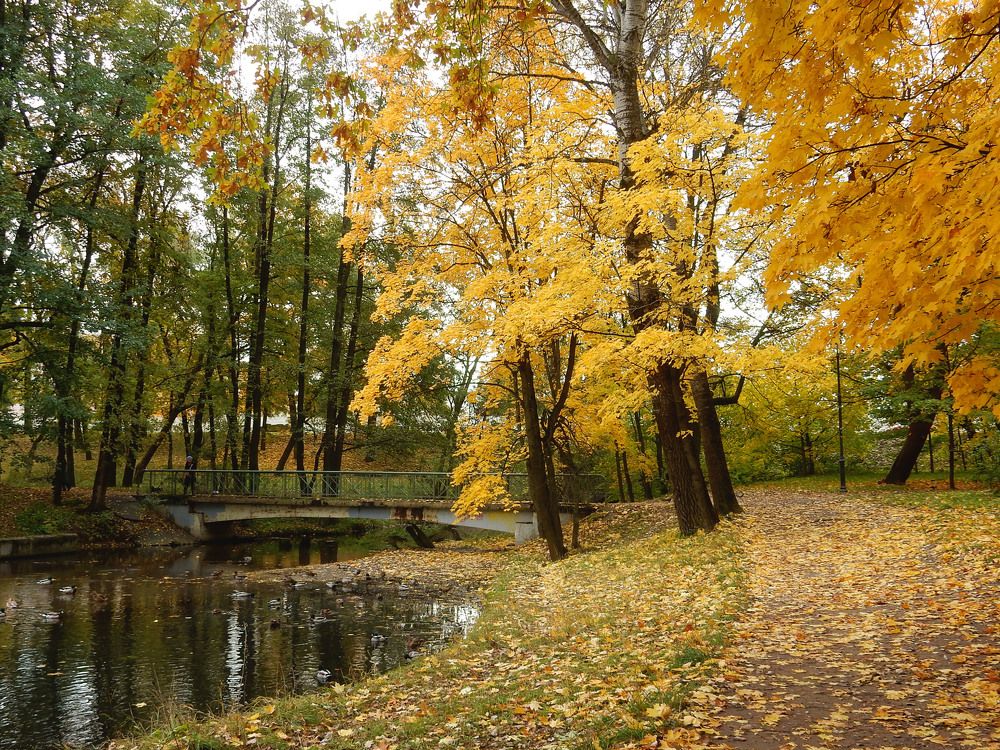 Photograph by Елена Гуляева