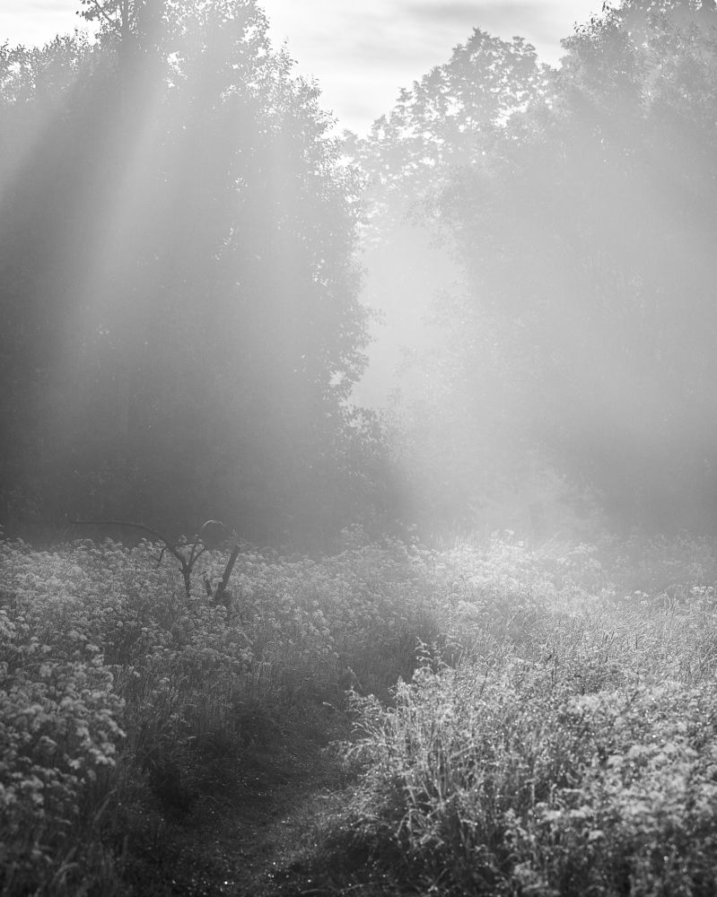 Photograph by Boris Nesh