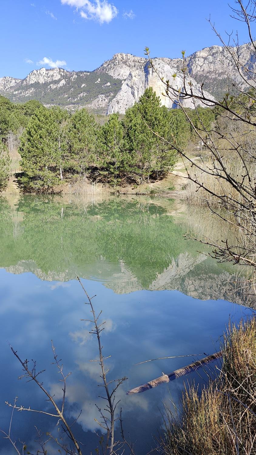 Photo #11231283