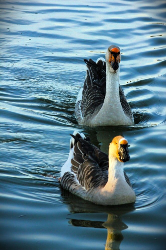 Фотография автора Вячеслав