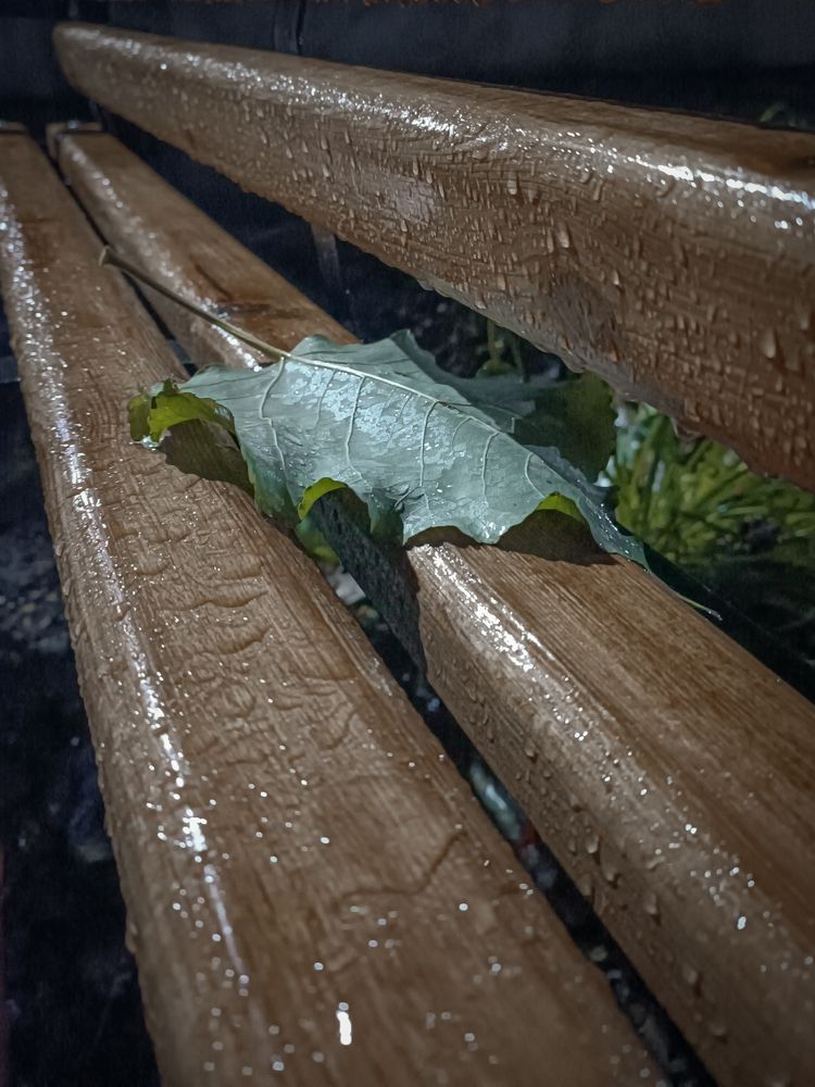 Photograph by Людмила Худякова