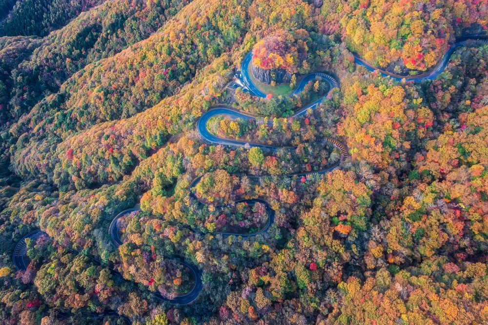 Photograph by Manh Cuong Truong