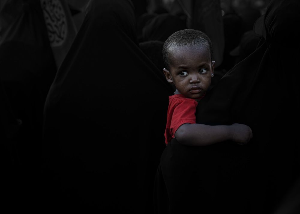 Фотография автора Mohammed Alhusseini