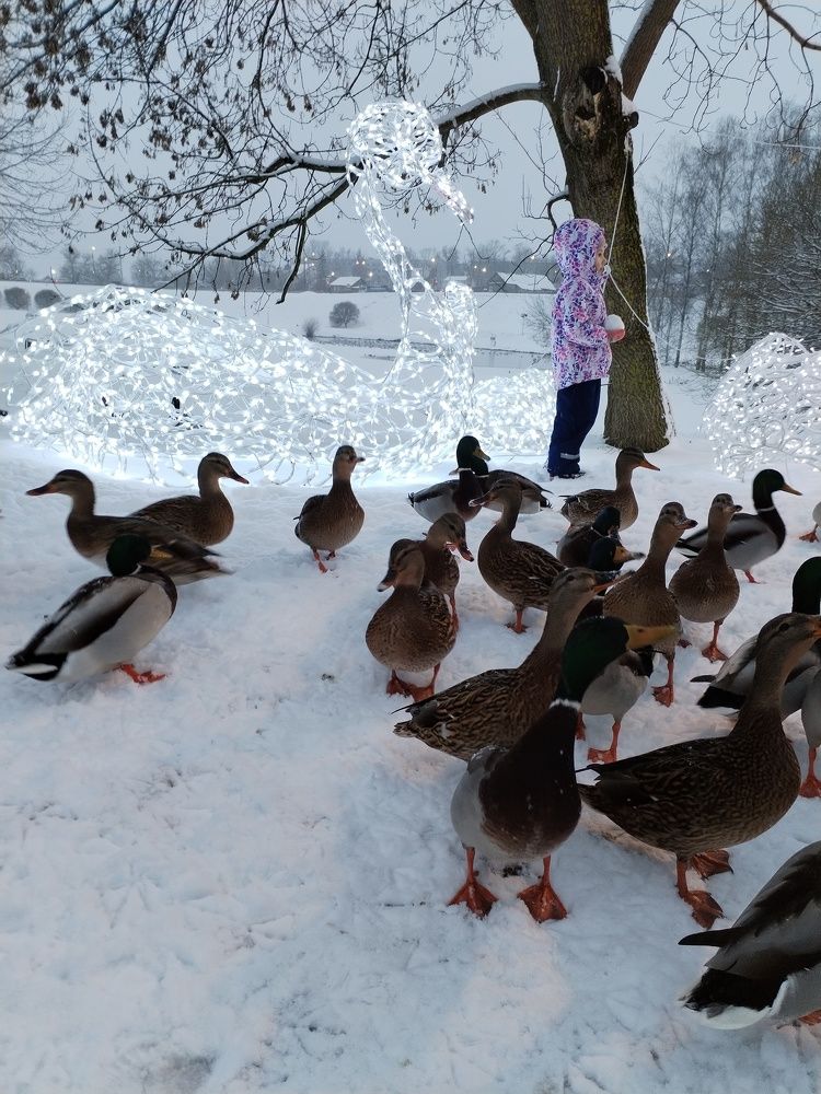 Photograph by Юлия Ю.