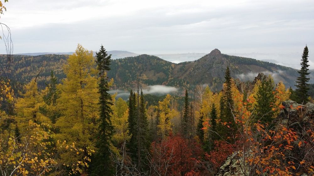 Все краски осени