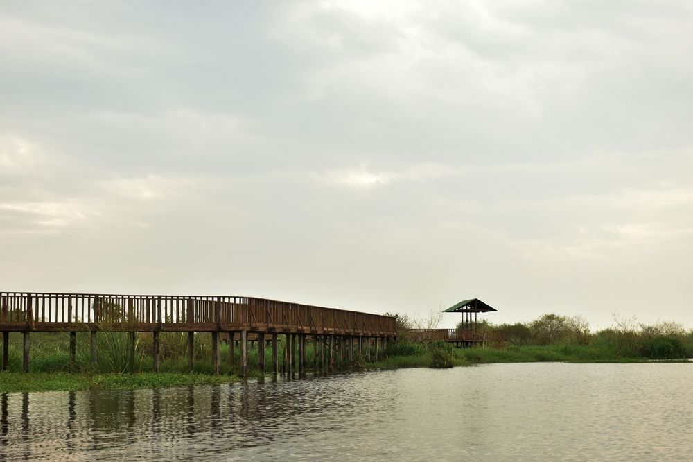 Photograph by SILVIA CLELIA AGOSTINIS