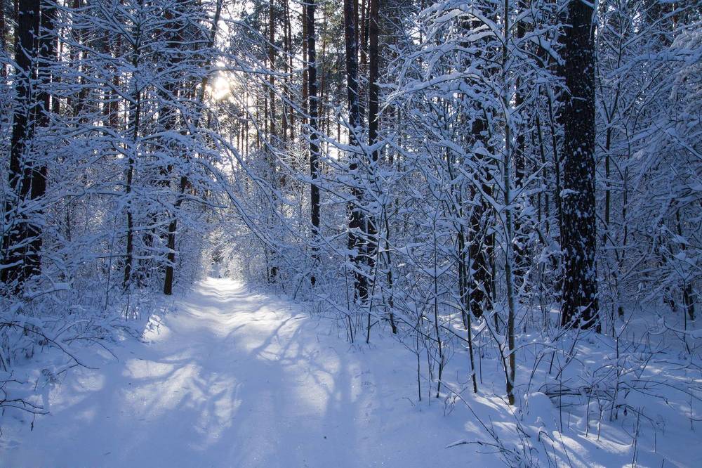 Photograph by Анна Евдокименко