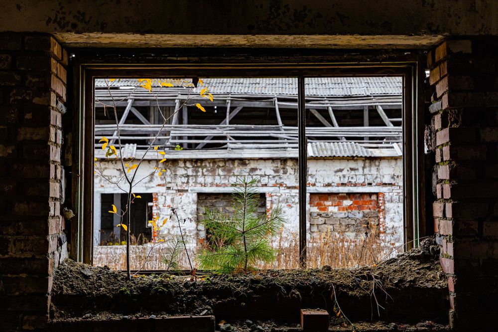 Photograph by Максим Фролов