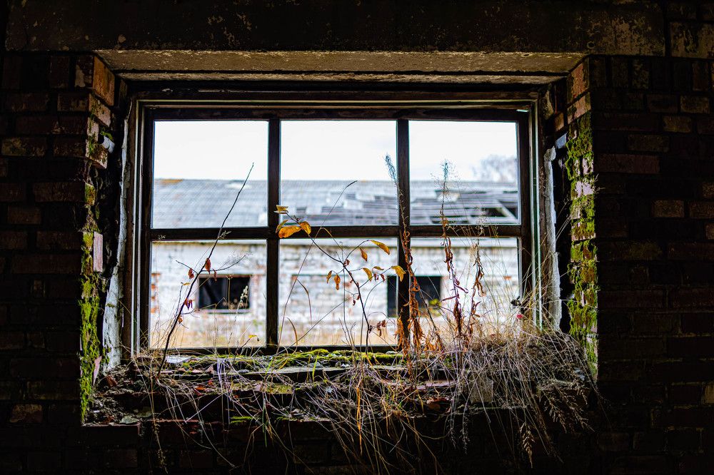 Photograph by Максим Фролов