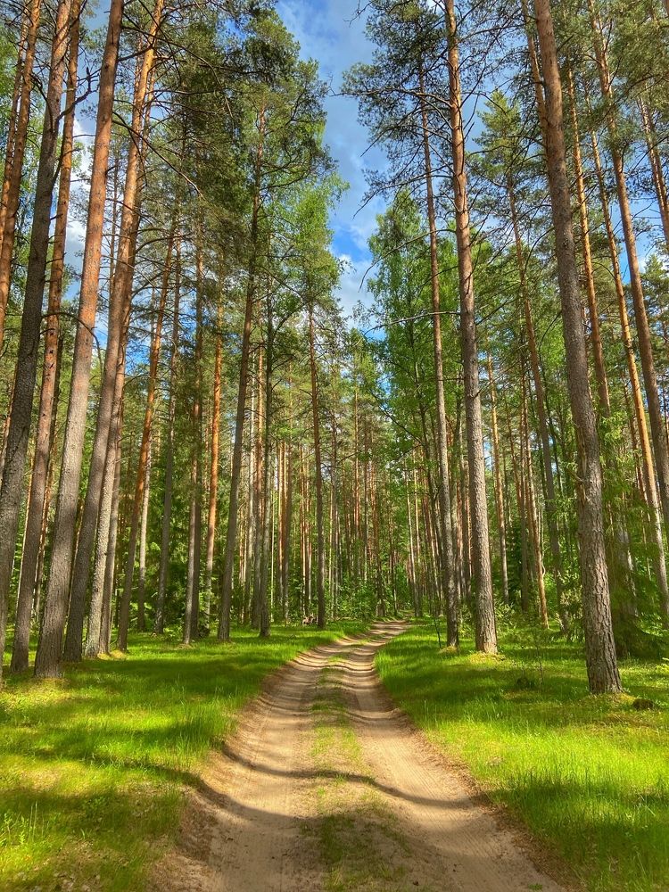 Photograph by Oksana Smorodina