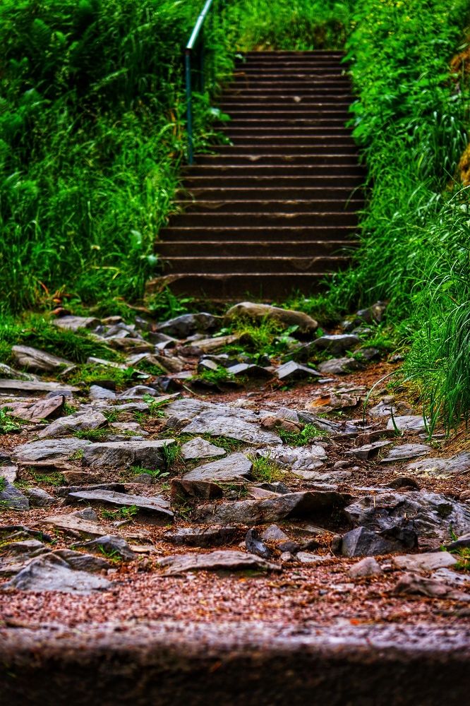 Photograph by Oksana Smorodina