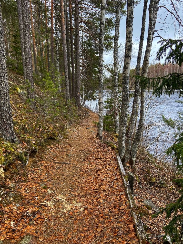 Photograph by Oksana Smorodina