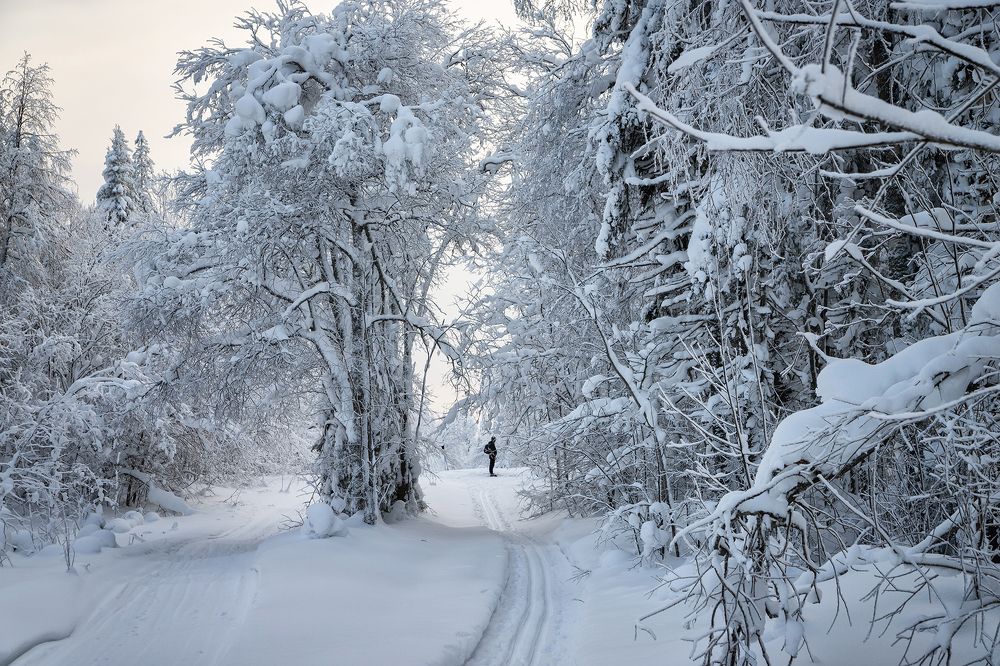 Photograph by Старцев Андрей